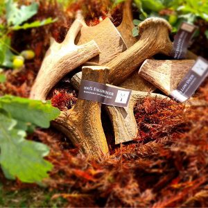 Fallow Antler Chew - Fallowcpose Kennels - Cockapoos Petersfield Hampshire Surrey Sussex London Berkshire Buckinghamshire Dorset Kent Somerset Wiltshire Oxford